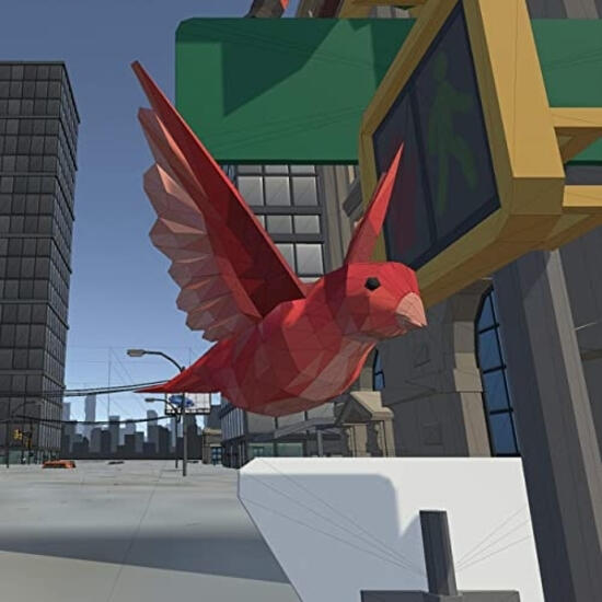 Birds Are Real Soundtrack